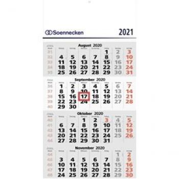 Viermonatskalender 33x63,5cm 2021