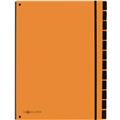 Pultordner 12-Fächer orange blanko Taben. für A4. Karton. PAGNA TREND