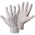 WORKY Handschuh Trikot Dot 1004-10 Baumwolle Größe10 1Paar