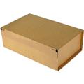 Versandkarton 46x31x16cm A3+ braun Kantenschutz  Postbox Secure Premium