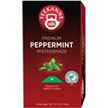 Teekanne Tee Premium Pfefferminze einzeln kuvertiert    Pack 20 Beutel