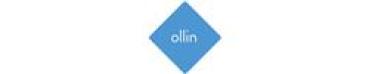 Ollin Monitorarm Dynamic schwarz OLN/009/010/B